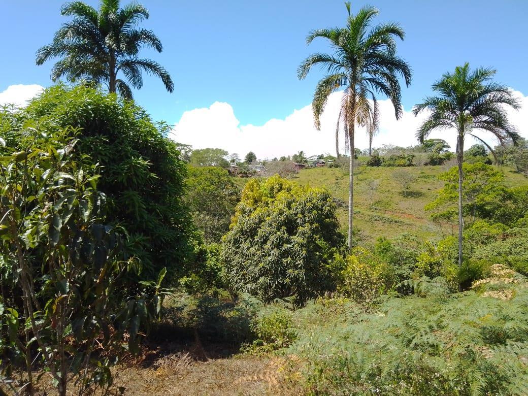 Mountain Fruit Farm Lagoon, Perez Zeledon, San Jose