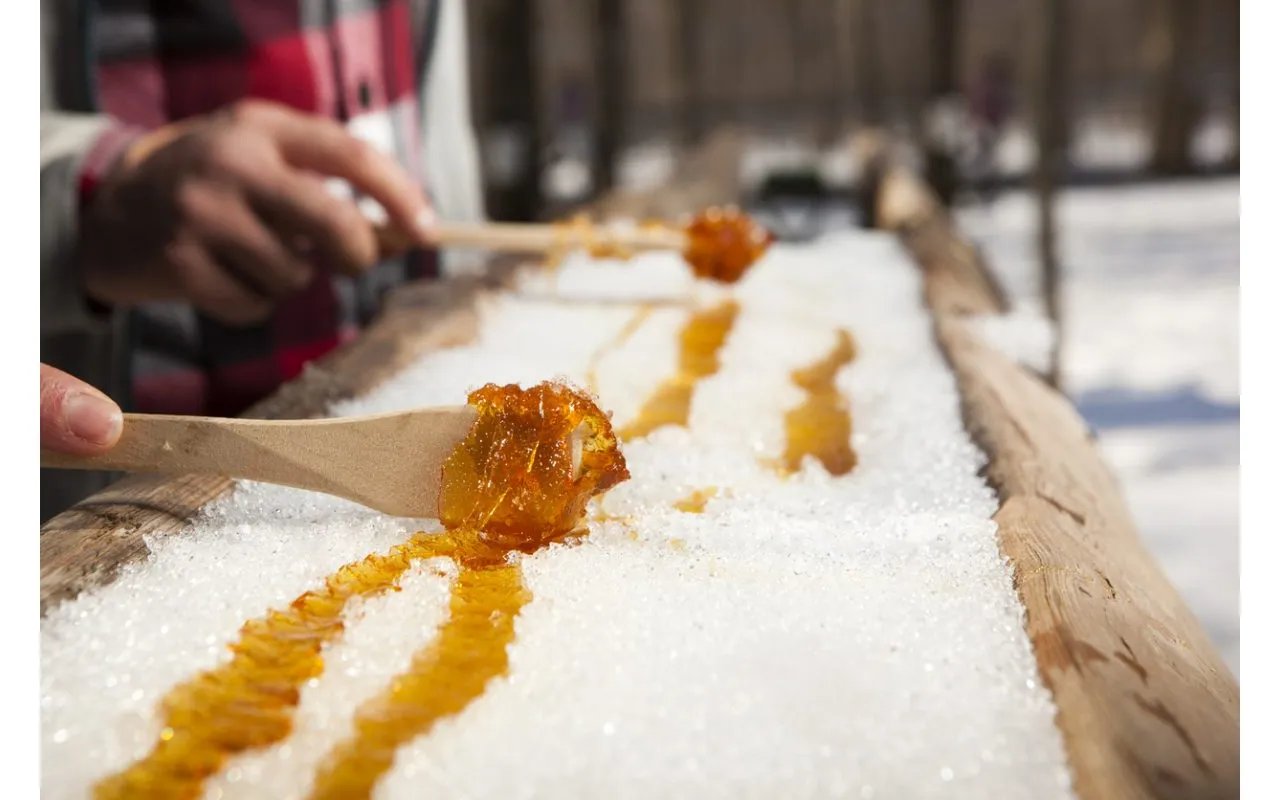 Where to Celebrate Maine Maple Sunday