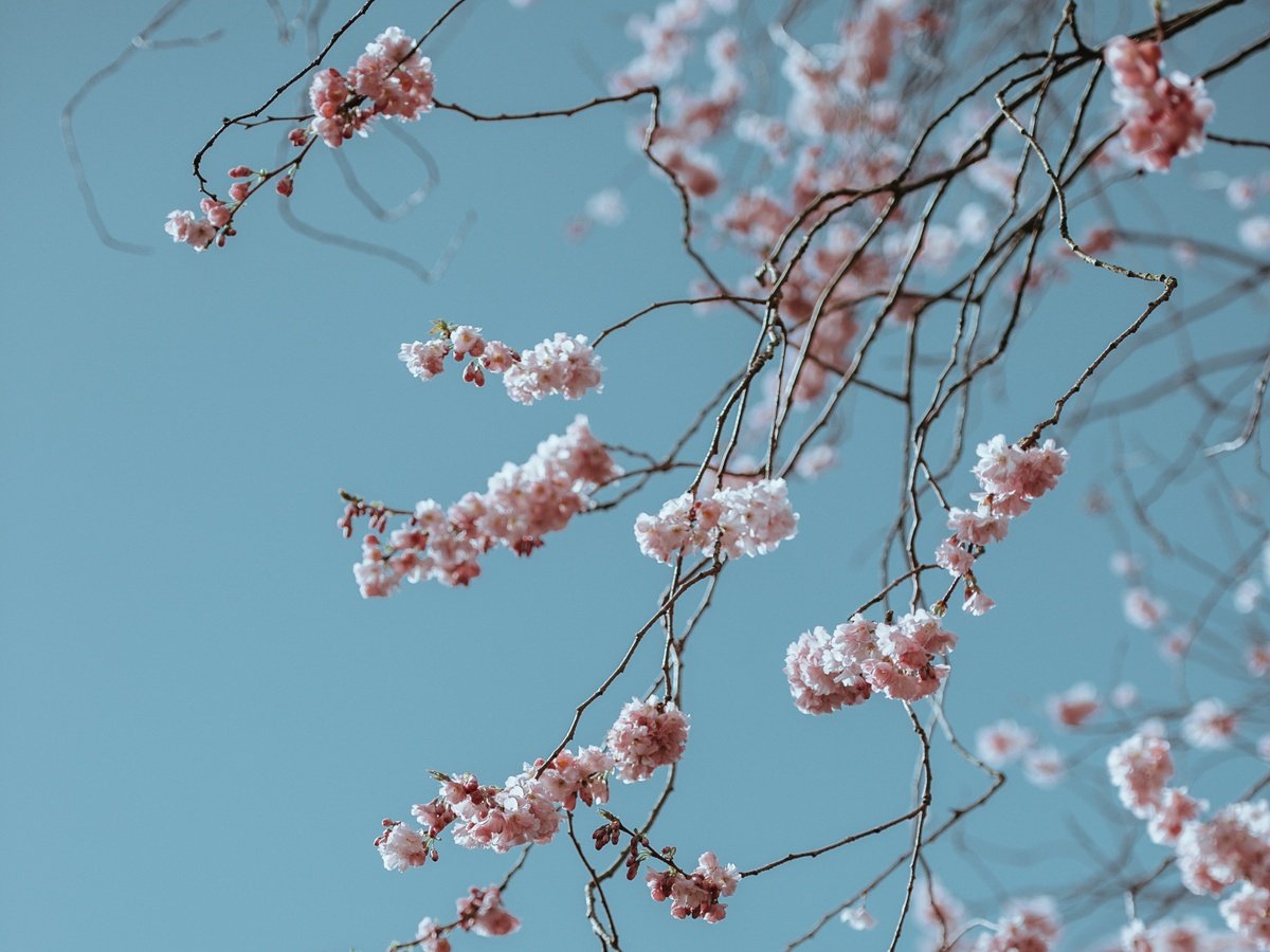 March 2019 Newsletter