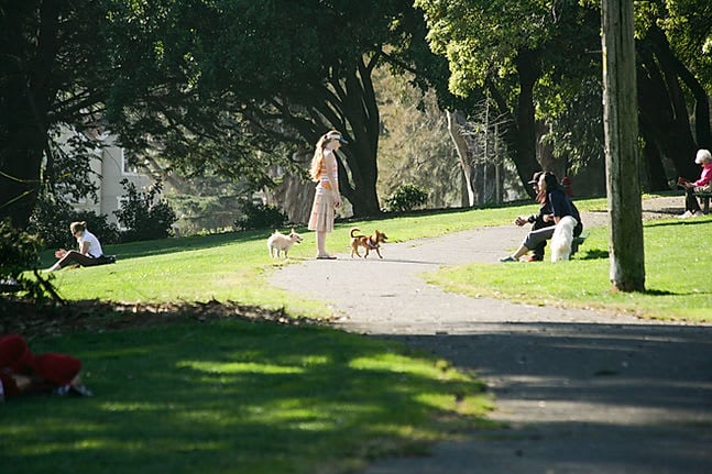 Hayes Valley