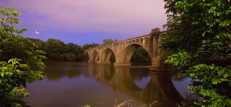 Bee’s Knees: Stuff We Dig!