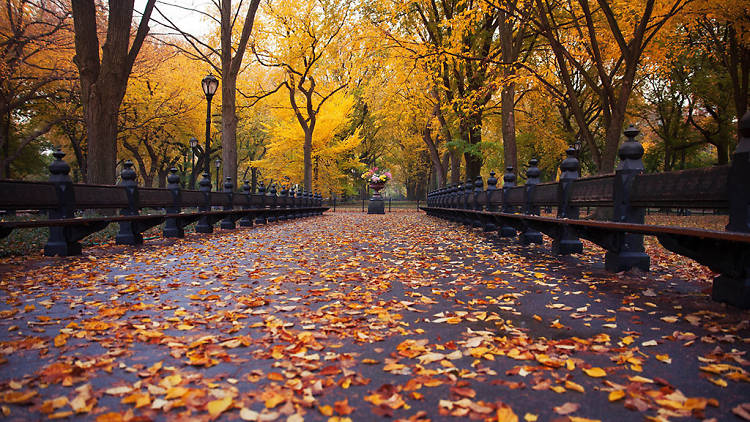 The Market Report - October 2021