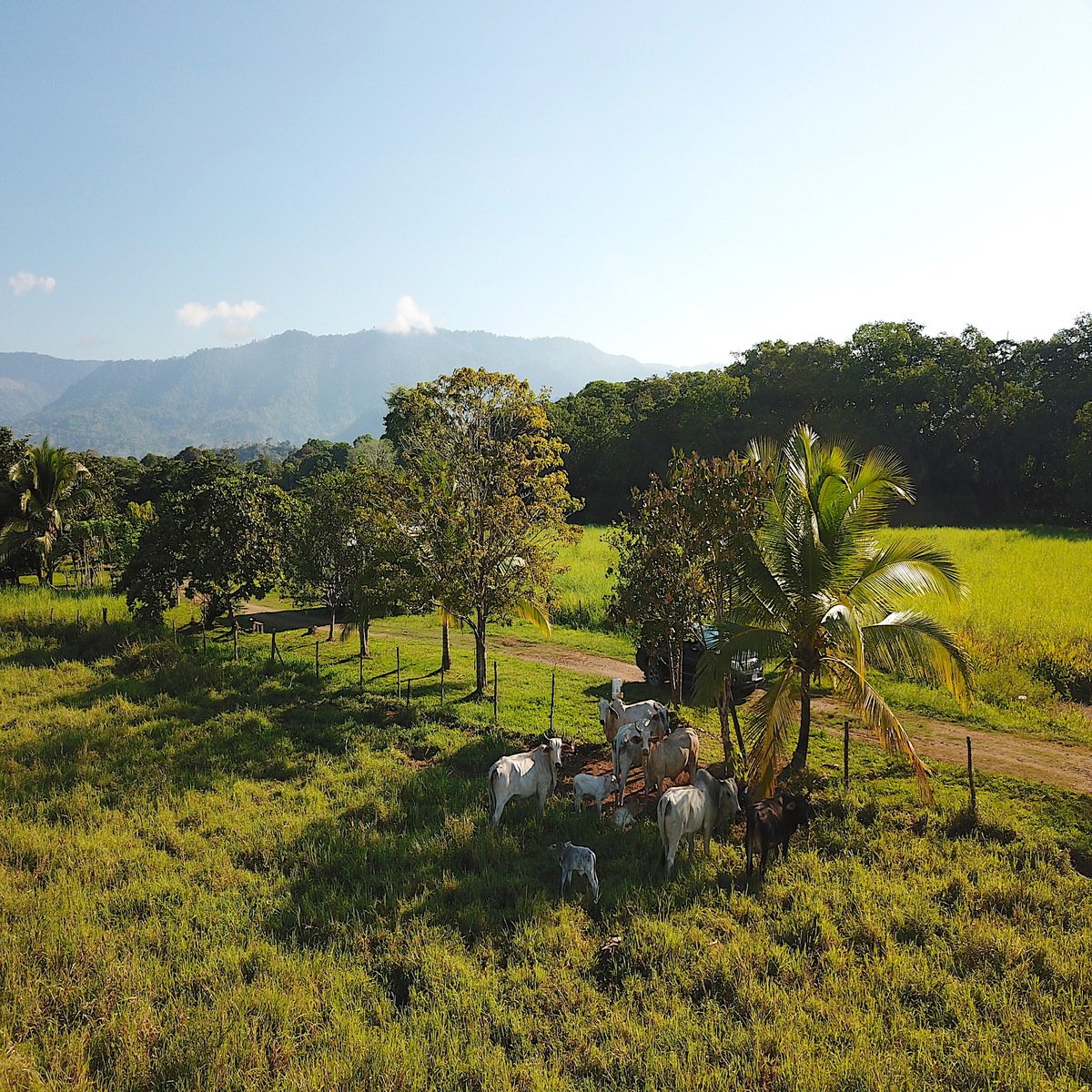 Flat Commercial Development Land, Dominical, Puntarenas
