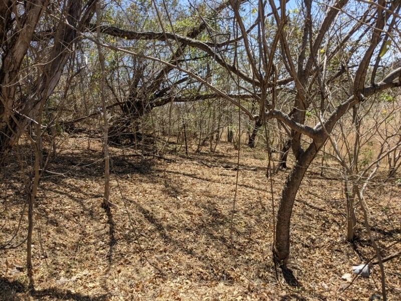 Ocean View Development Land, Tamarindo, Guanacaste