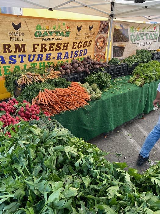 Shopping Local Farmers Markets in Laguna Hills