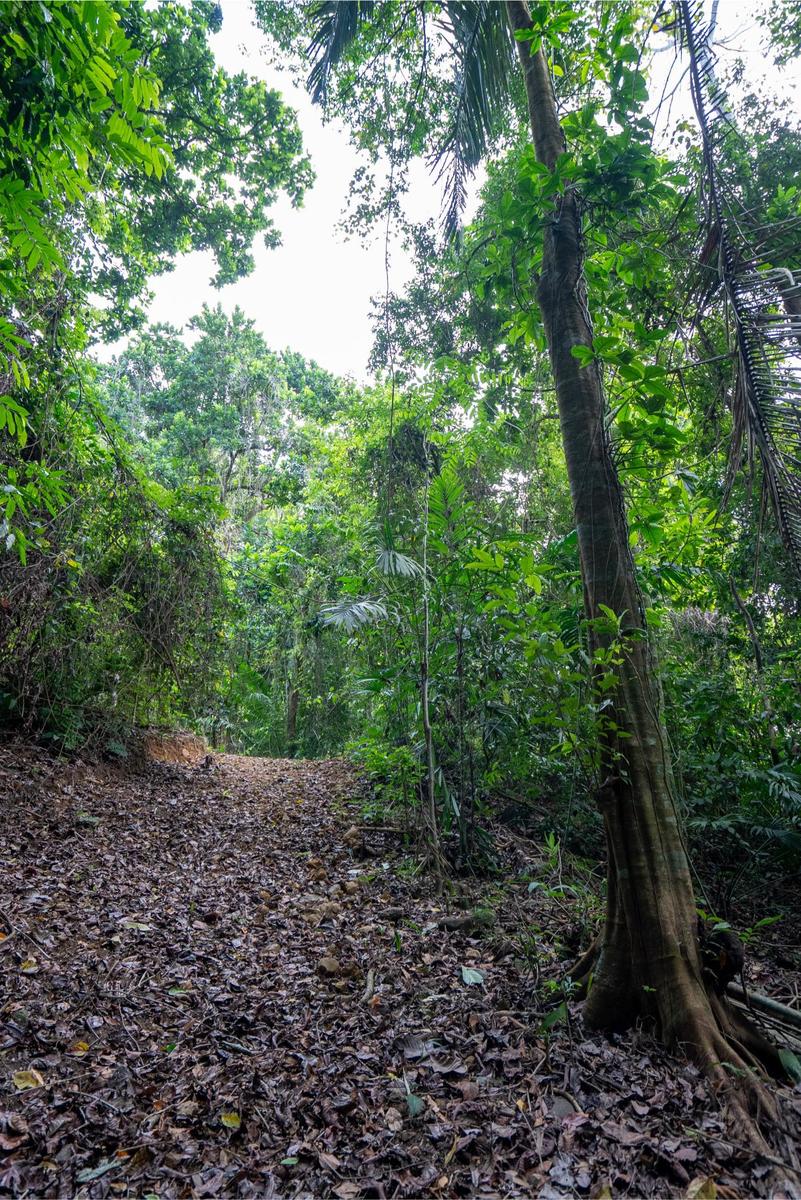 Private Ocean View Development Lot, Dominical, Puntarenas