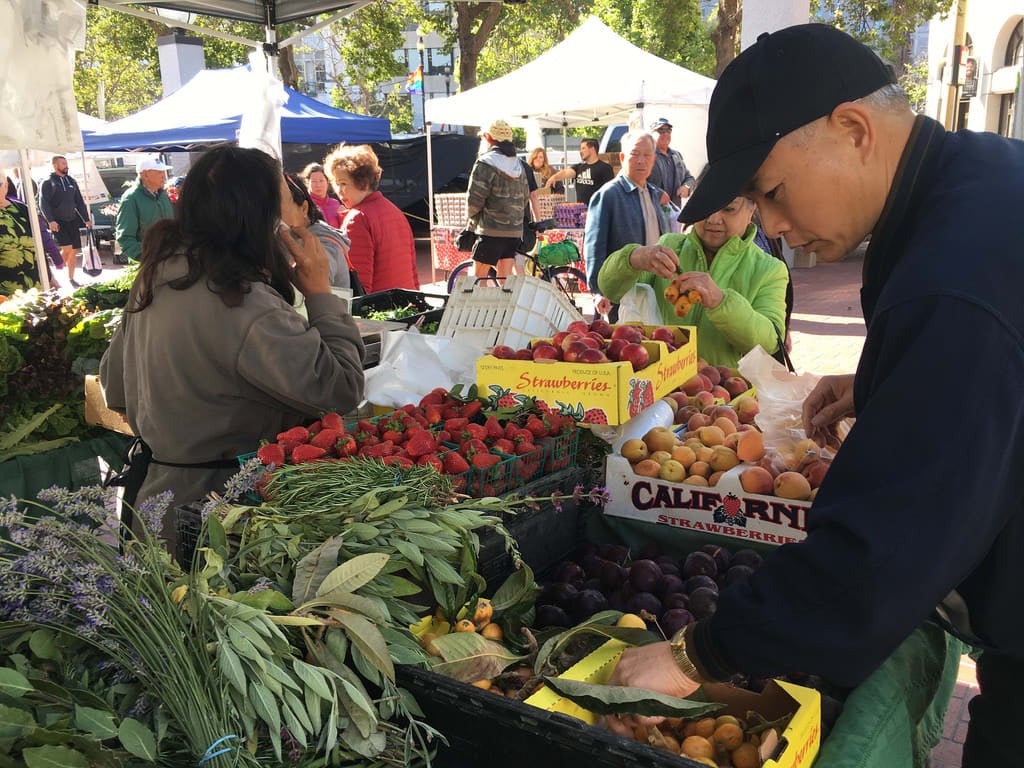 5 Must-Visit Farmers Markets in San Francisco: A Fresh Taste of the Bay