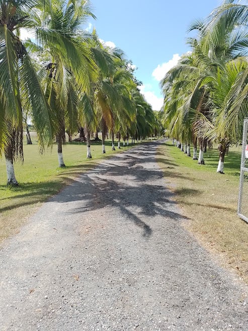 Private Hangar Estate, Osa, Puntarenas