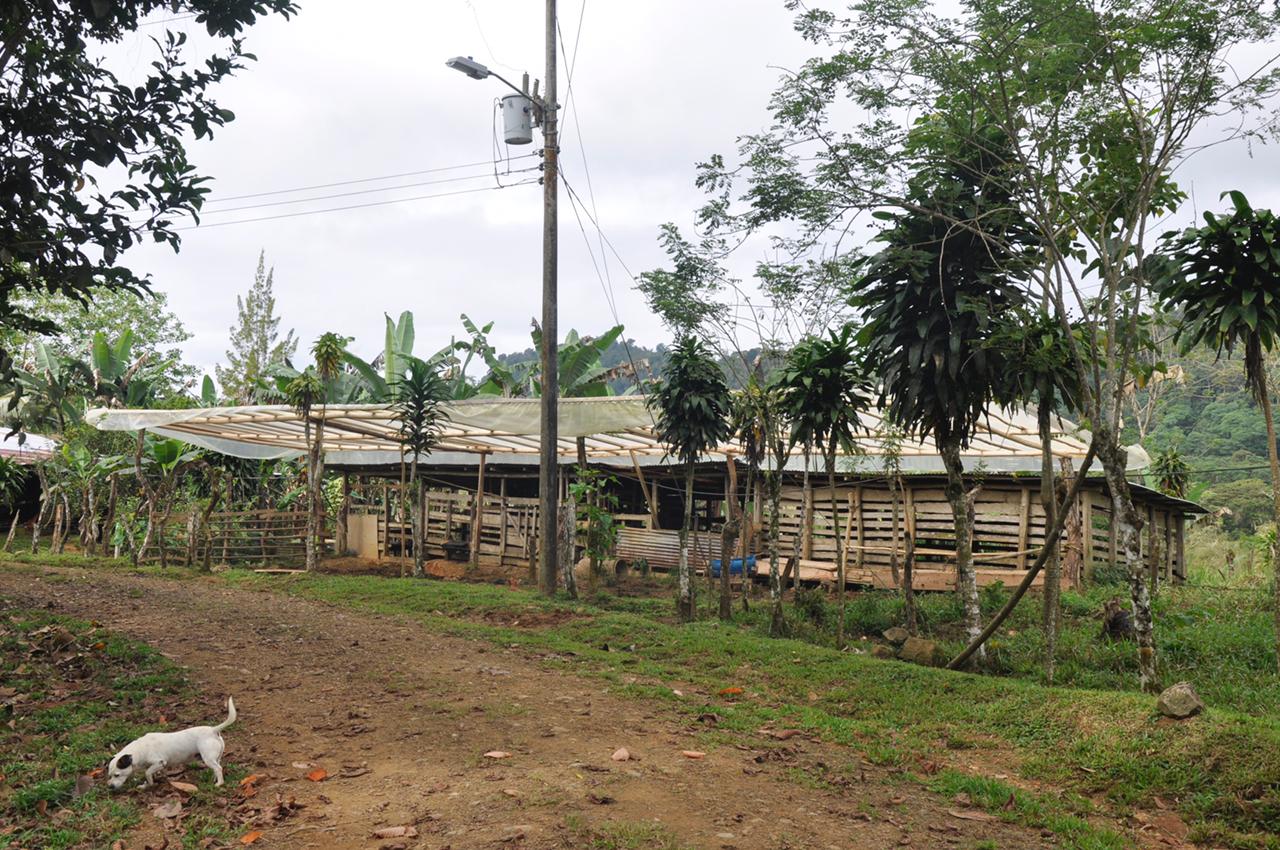 Waterfall View Farm On 80% Usable Land In Uvita