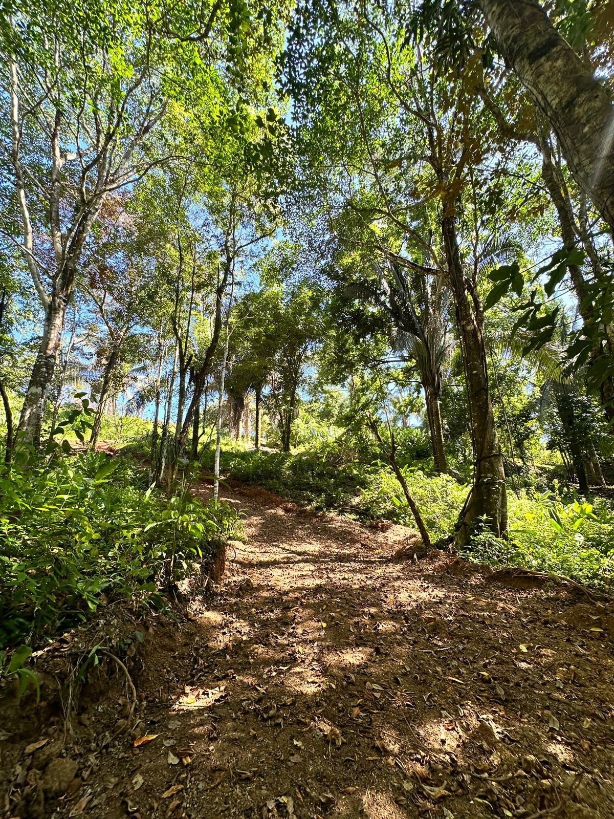 Your Dream Coastal Retreat Awaits: Prime Investment Opportunity in Playa Hermosa, Bahía Ballena