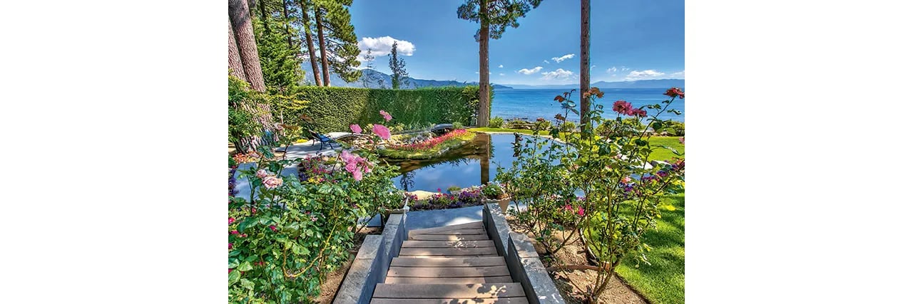 Extraordinary Properties: Nature’s Embrace