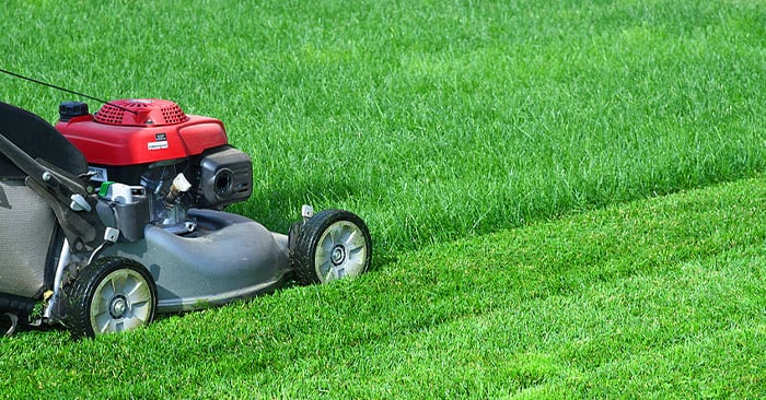 With Spring in Full Swing, Here Are Some Tips on How to Tune up Your Lawn Mower