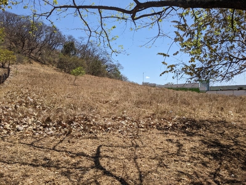 Ocean View Development Land, Tamarindo, Guanacaste