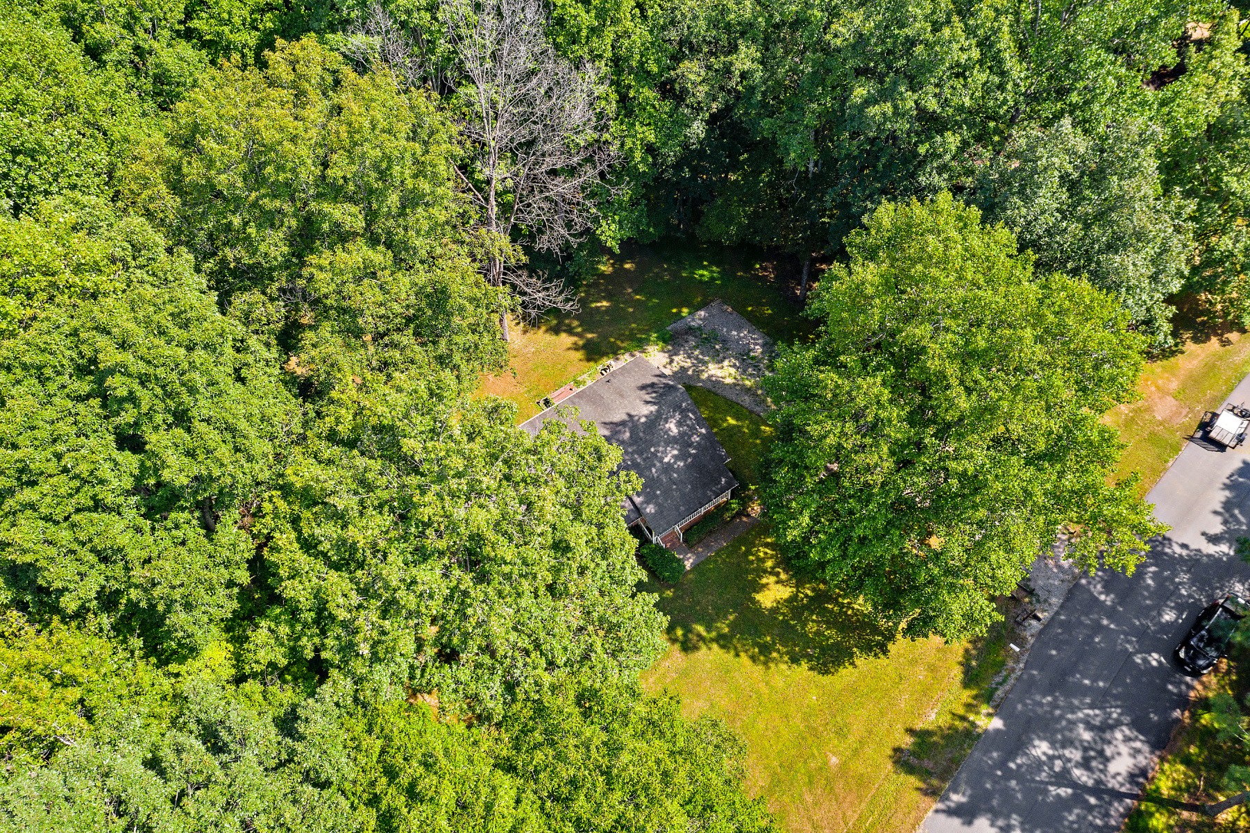10149 Clearwood Road