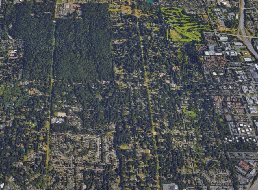 Bridle Trails neighborhood Bellevue/Kirkland 