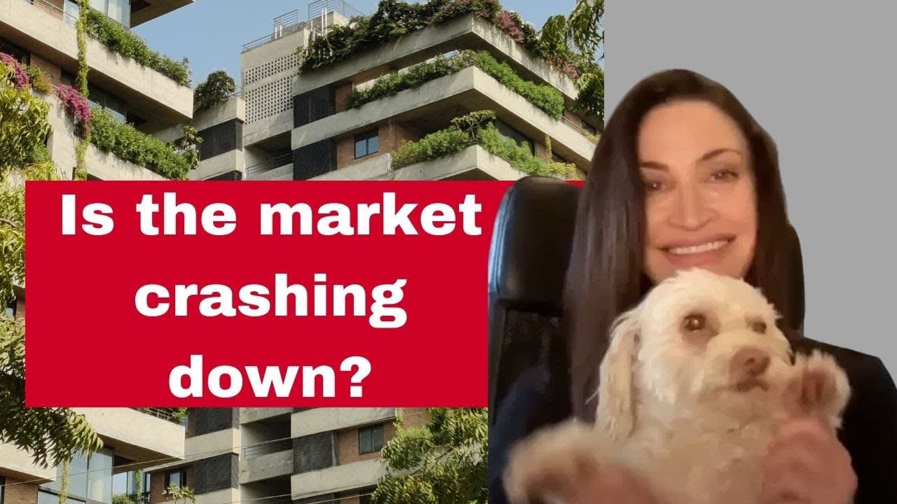 Real Estate Expert's Take on the housing market