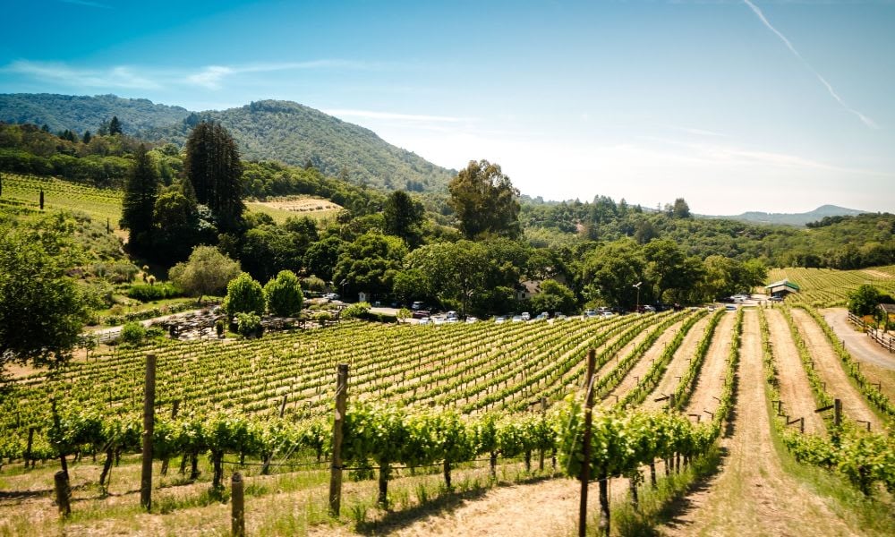 Which Napa Valley Neighborhood is Right for you?