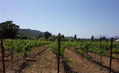 Create Your Napa Valley Dream - SOLD