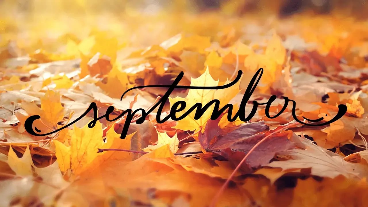 September 2022 Real Estate Market Update