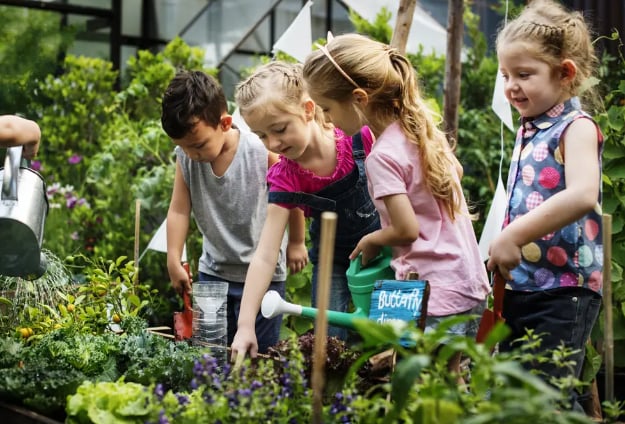 The Role of Community Gardens in Fostering Neighborly Connections in Durango