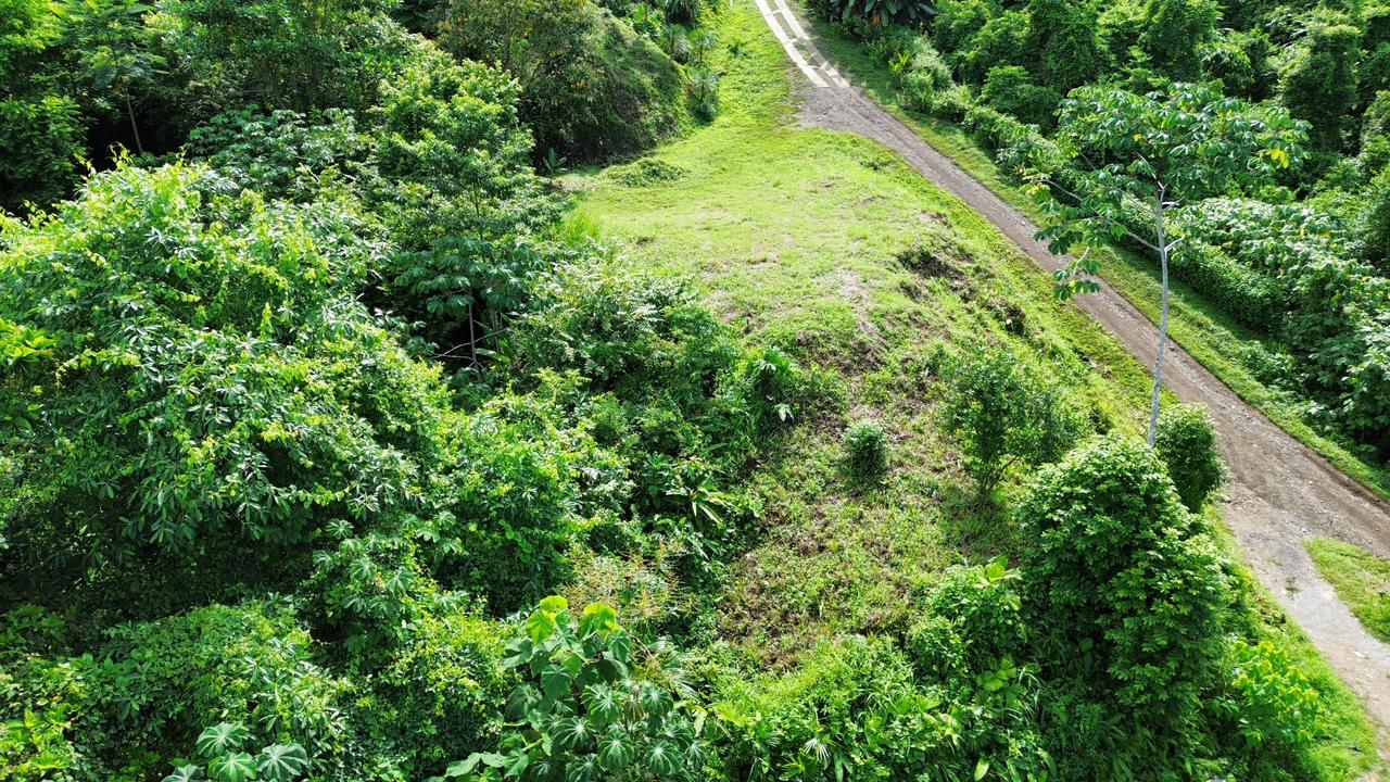 Expansive 1.74 Acre OCEAN VIEW lot w/2 large building sites