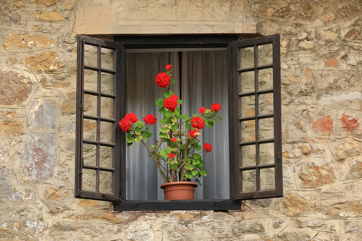 How to Spot the Real Thing