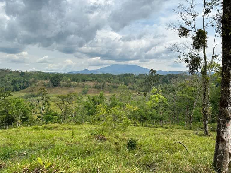 Buena Vista Land | Mountain Home Construction Site For Sale in Bijagua