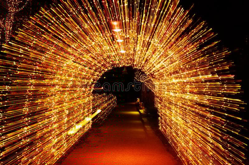The Magic of Holiday Lights: Best Local Displays