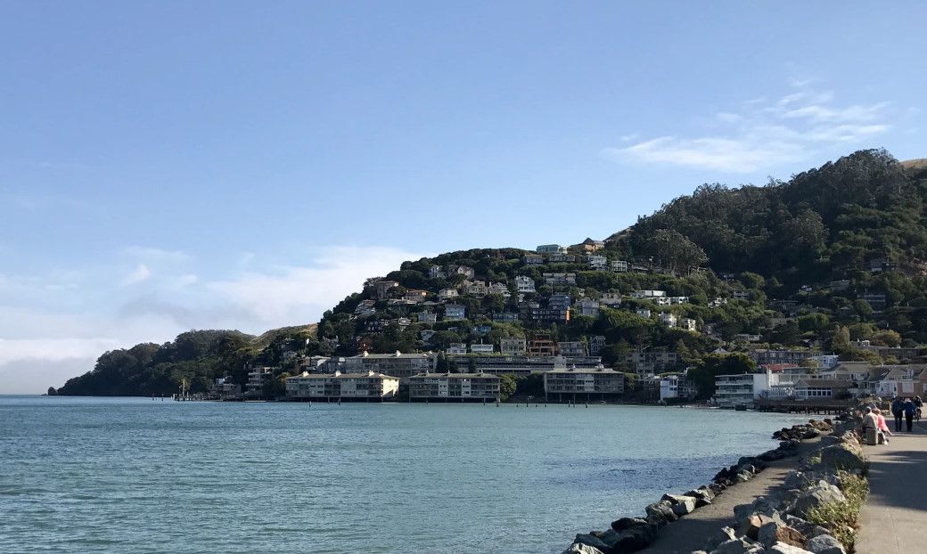 13 Best Real Estate Agents in Marin County