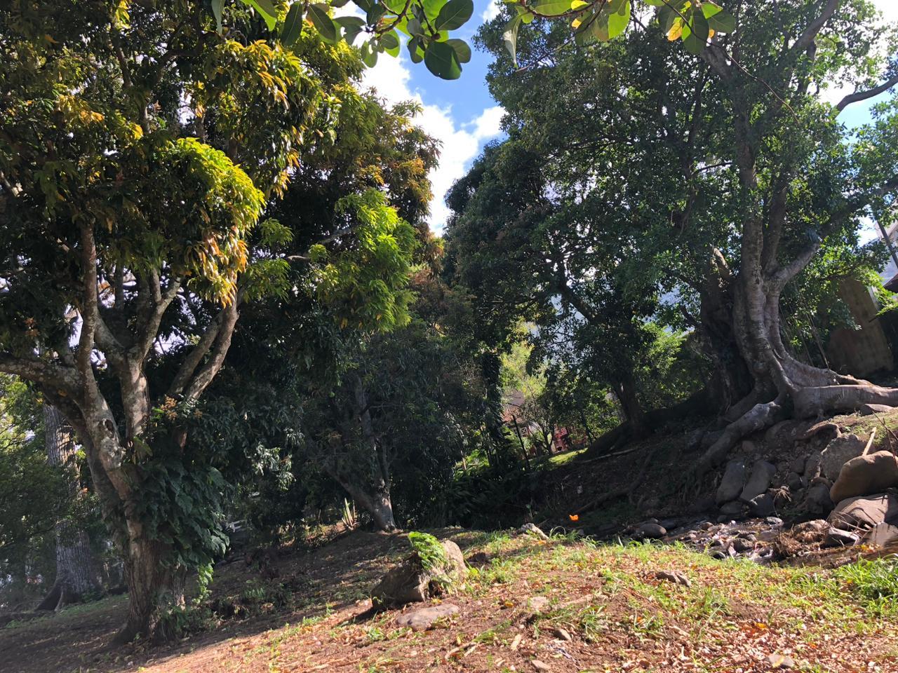 Nature Inspired Urban Apartment, Escazu, San Jose