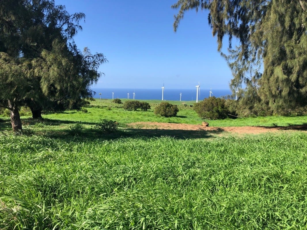 NORTH KOHALA LOT #312