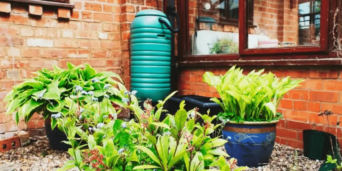 What Homeowners Should Know About Rain Barrels