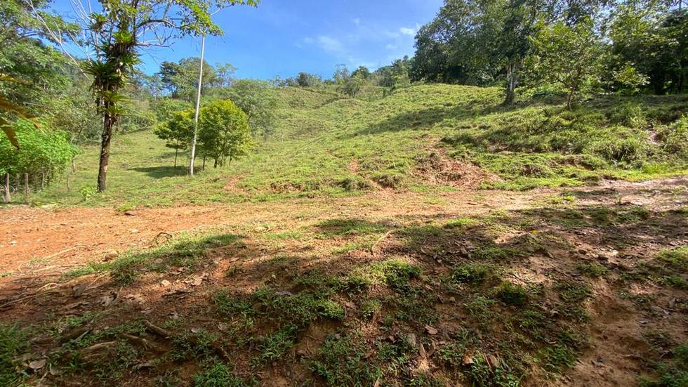 238 Acre Ocean View Property in Portalon with Waterfall