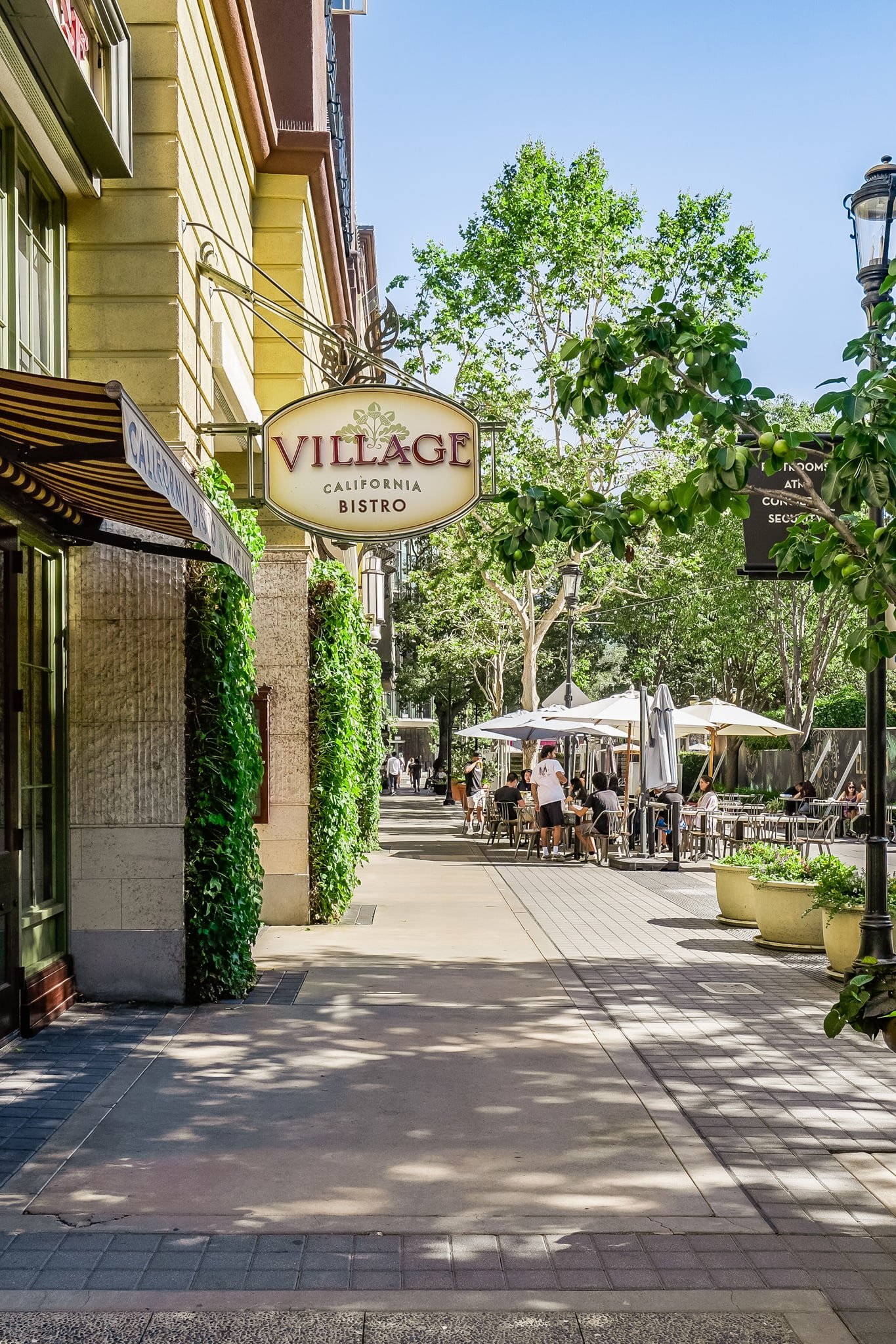356 Santana Row APT 319