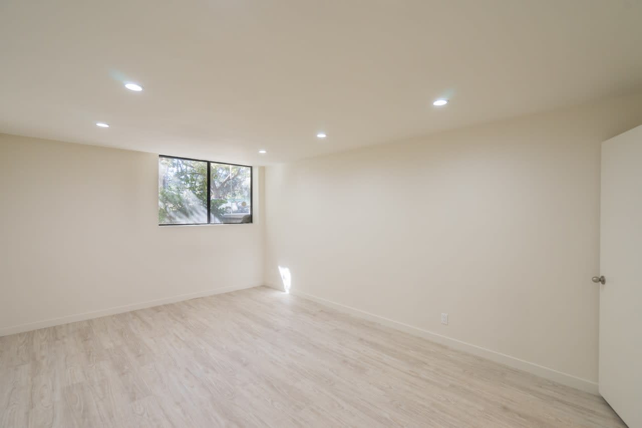 Bright and Open Maple Apartment