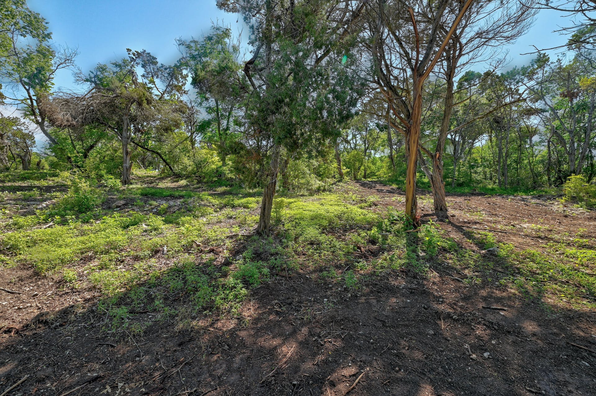 1217 Yaupon Valley Road