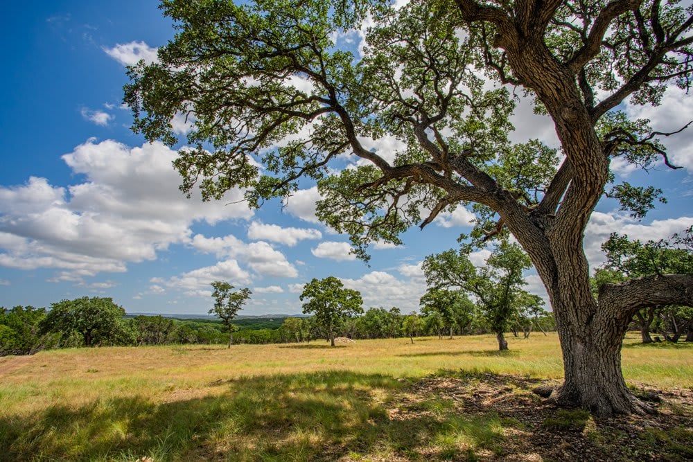 Sister Creek Ranch