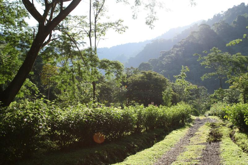 Rainforest Nature Reserve, Manuel Antonio, San Jose