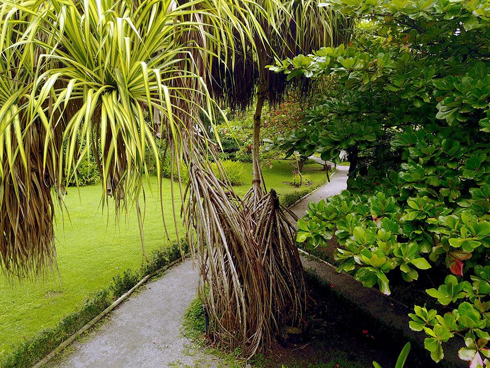 Manuel Antonio Beachfront Hotel