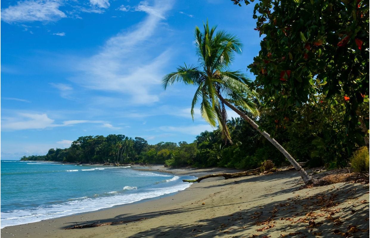 Beachfront Sustainable Eco Resort, Osa, Puntarenas