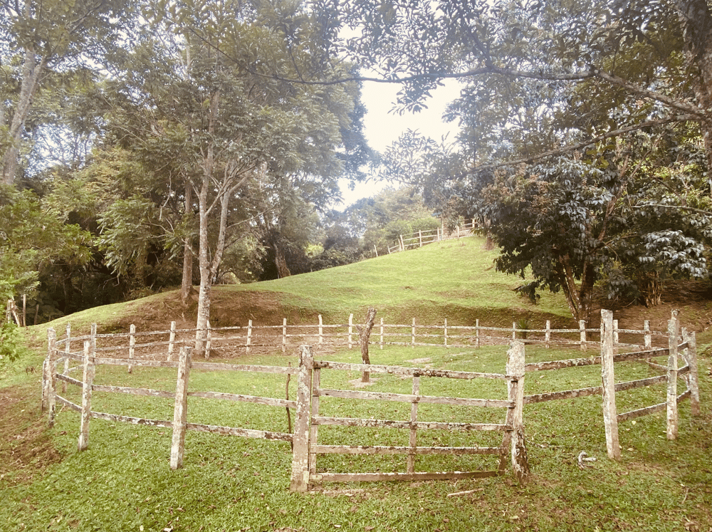 Natureza Viva