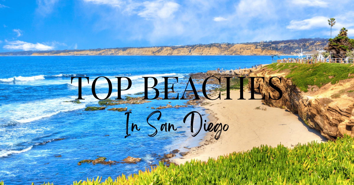 Discover the Best Beaches in San Diego: A Guide to Culture, Restaurants, Activities, and More