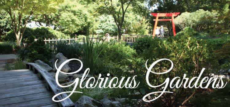 Glorious Gardens