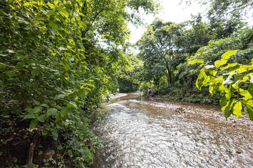 Expansive Creekfront Development Land, Papagayo, Guanacaste