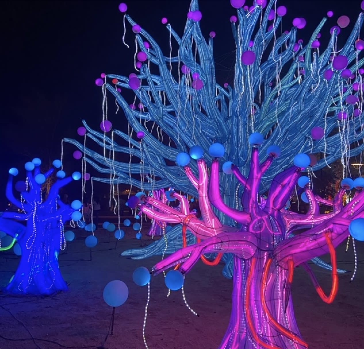 Glow in the Park, A Spring Lantern Festival at the Living Desert