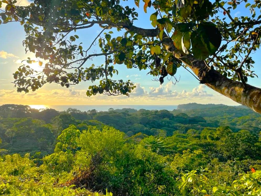 3.41 Acres, Ocean View Property In Finca Maranon With Legal Water! Ojochal 