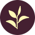 Sprouting plant icon