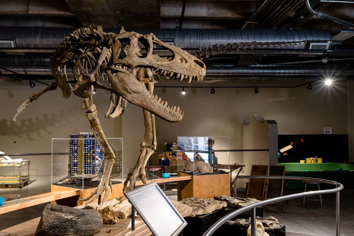 Local Love – Part 2