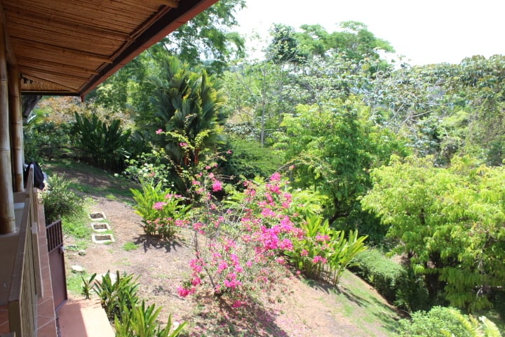 Infinity Pool Jungle Residence, Uvita, Puntarenas