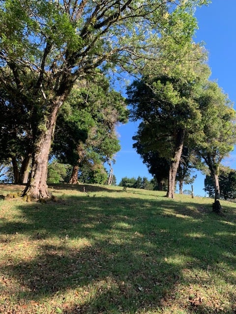 Vast Mountain Farm Acreage, Heredia